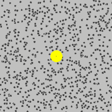 Brownian motion: a speck of pollen (yellow dot) getting moved by molecules of water (black dots)