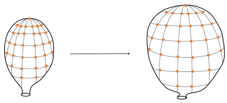An analogy for the expanding universe. Galaxies, though fixed in space, appear to see the others recede from them like pennies on the surface of an expanding balloon. The change in distance is by a factor of the scale factor \(a(t)\).