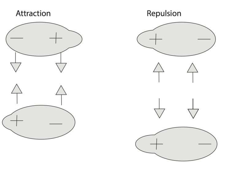 In dipole interactions, opposites attract.
