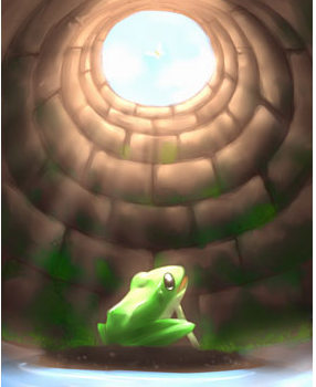 Image result for frog in the well