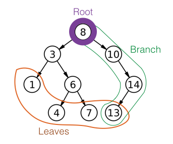 Roots, trees, and branches, are the basic parts of a tree datastructure