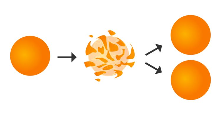 The Banach-Tarski paradox, in which a ball can be rearranged into two balls of the same size as the original, is a counterintuitive consequence of the axiom of choice