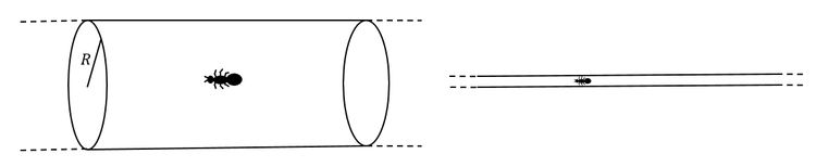 On short distance scales, the ant's world is two-dimensional; from far away, the ant barely moves in the compact direction before returning to the same place, so the ant's world seems one-dimensional.