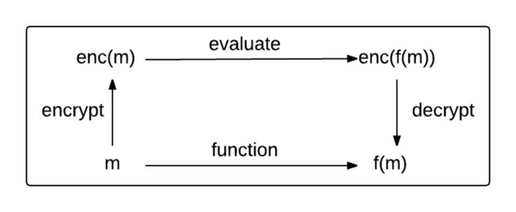 Homomorphism and encryption