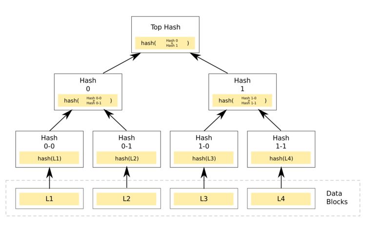 Binary Merkle Tree