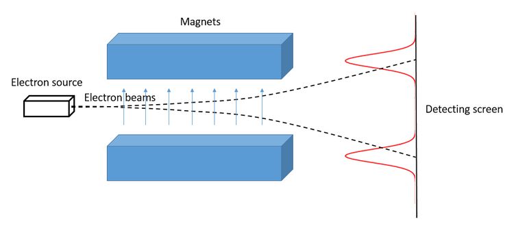 Experimental setup of a Stern-Gerlach experiment. An electron source beams electrons into a magnetic gradient, where they are deflected according to their intrinsic magnetic moment. Only two peaks are detected beyond the magnets, corresponding to the two possible spin values.